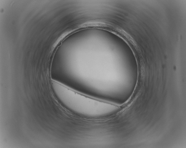 X0000072511465200607140900