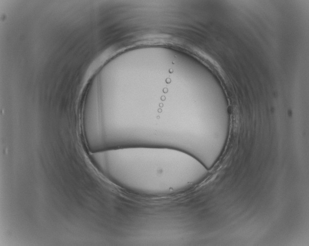 X0000072511467200607140900