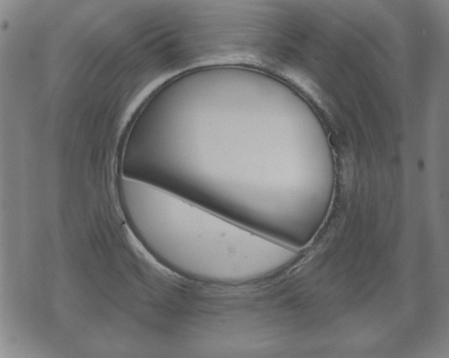 X0000072511468200607140900