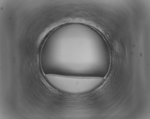 X0000072511503200607140859