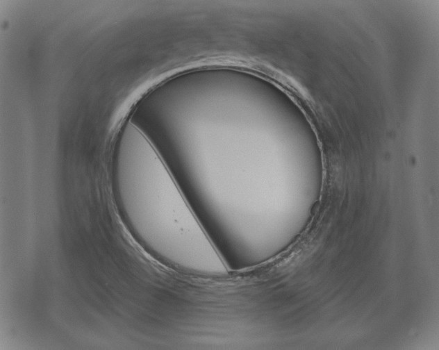 X0000072511504200607140859