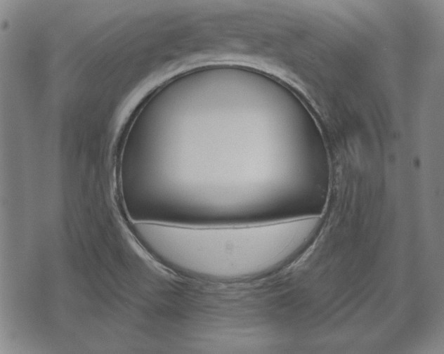X0000072511511200607140859