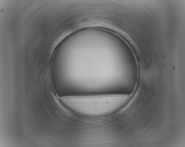 X0000072511513200607140859