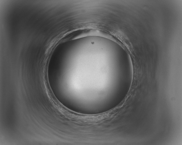 X0000072510001200607141144