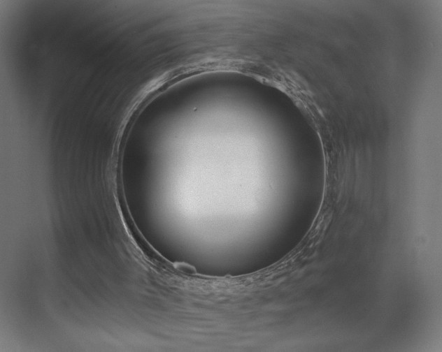 X0000072510003200607141144