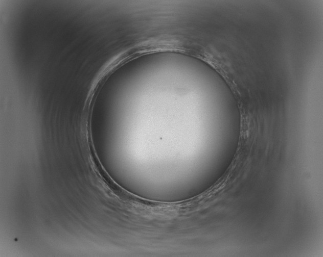 X0000072510004200607141144