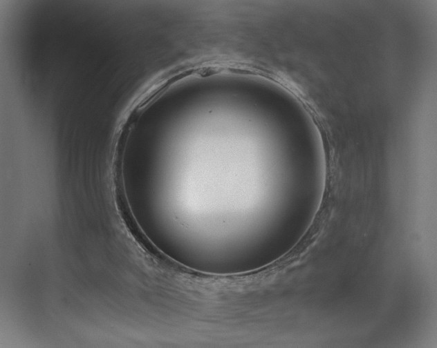 X0000072510007200607141144