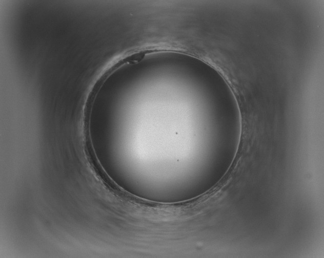 X0000072510008200607141144