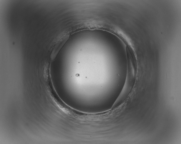 X0000072510009200607141144