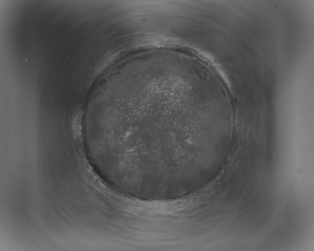 X0000072510010200607141144