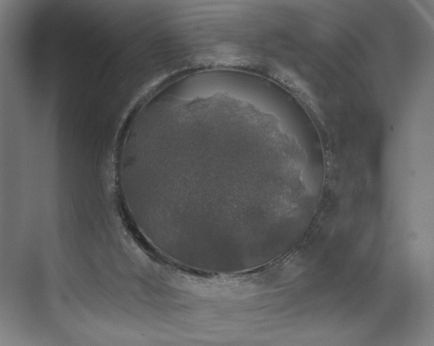 X0000072510012200607141144