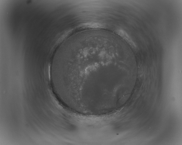 X0000072510014200607141144