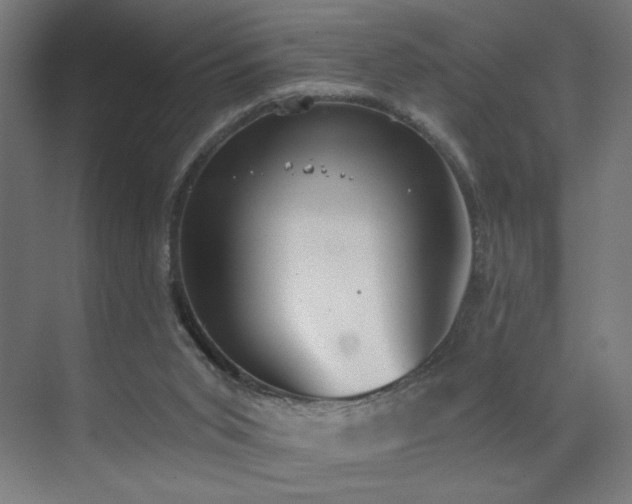 X0000072510015200607141144