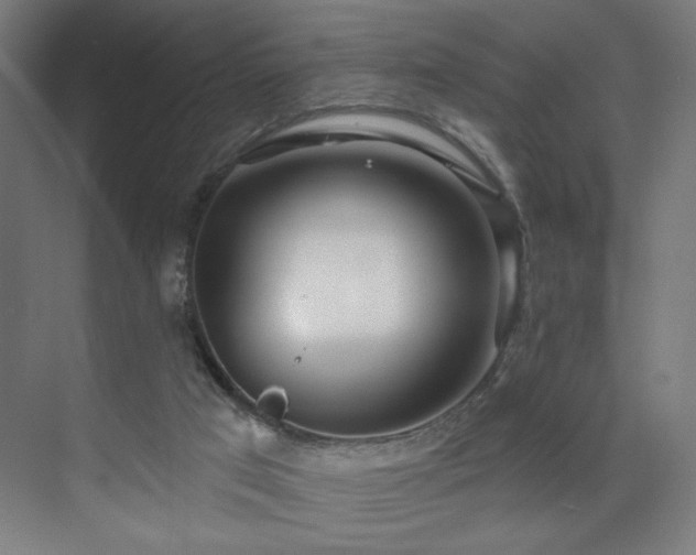 X0000072510017200607141144