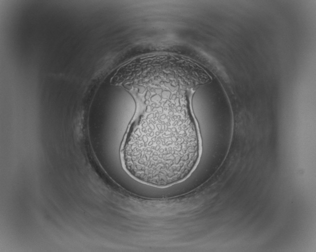 X0000072510018200607141144