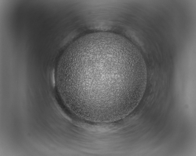 X0000072510020200607141144