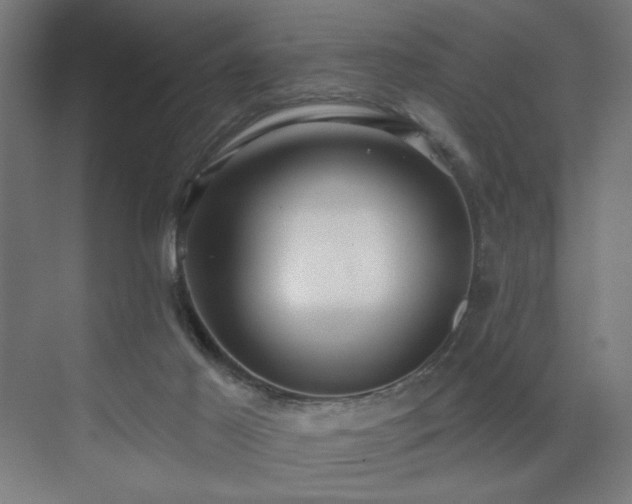 X0000072510021200607141144