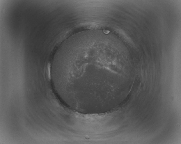 X0000072510022200607141144