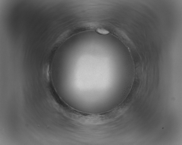 X0000072510024200607141144