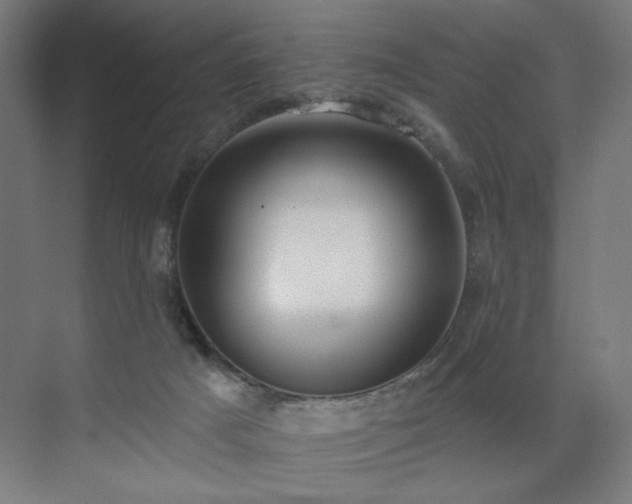 X0000072510025200607141144