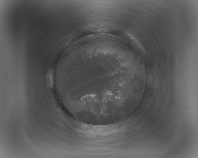 X0000072510026200607141144