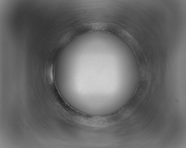 X0000072510028200607141143