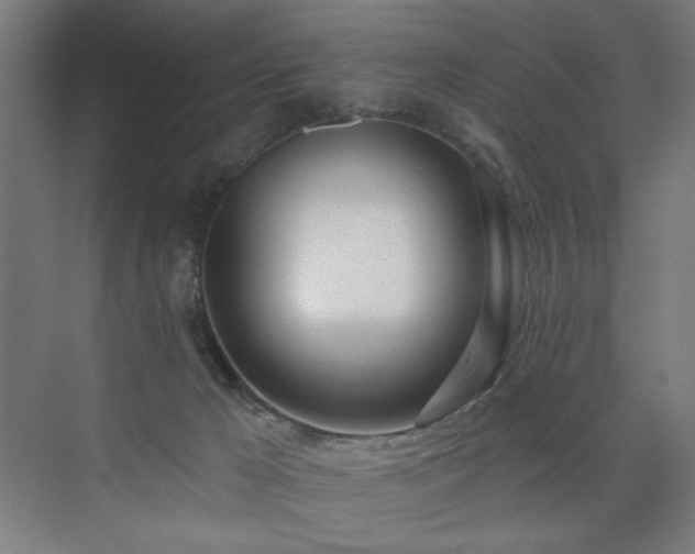 X0000072510029200607141143