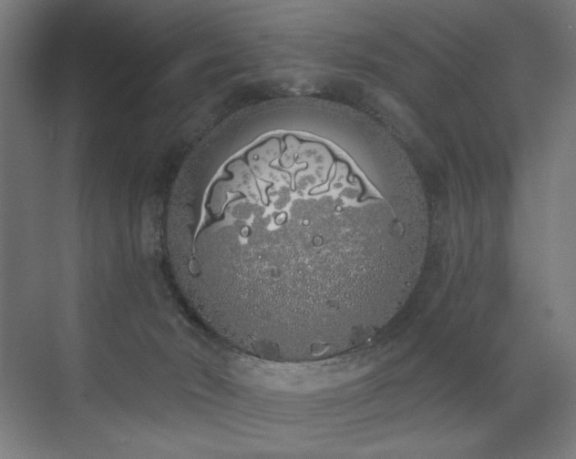 X0000072510030200607141143