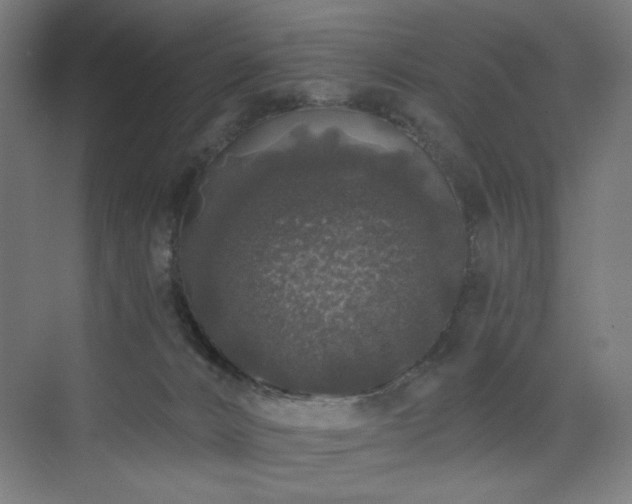 X0000072510032200607141143