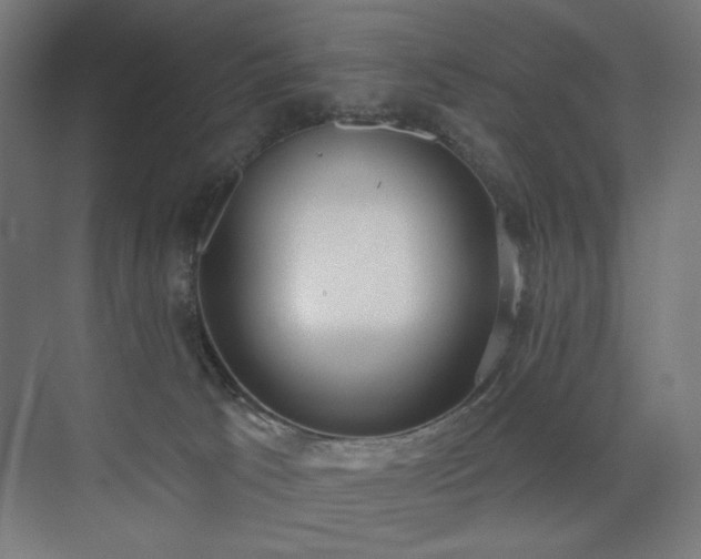 X0000072510033200607141143