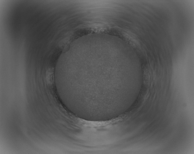 X0000072510034200607141143