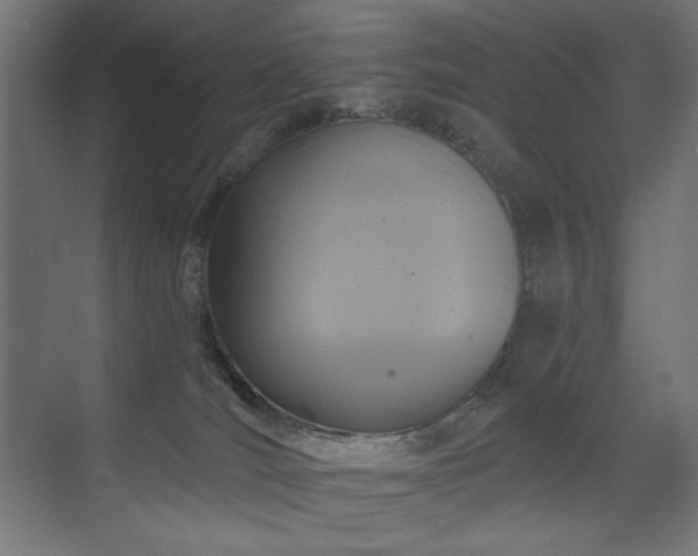 X0000072510036200607141143