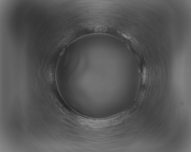 X0000072510039200607141143