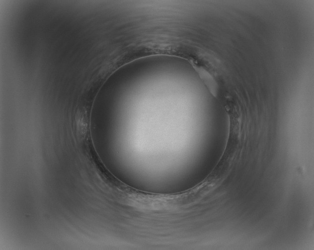 X0000072510040200607141143