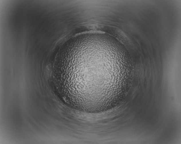 X0000072510043200607141143