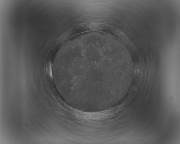 X0000072510046200607141143