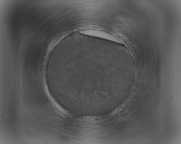 X0000072510049200607141142