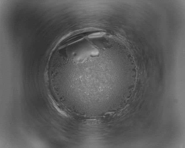 X0000072510050200607141142