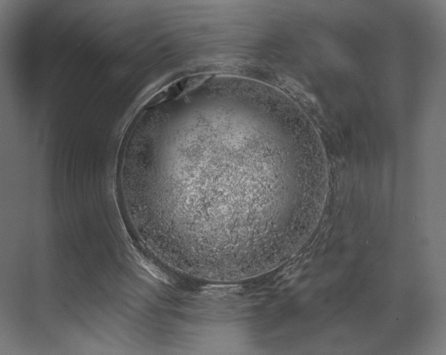 X0000072510051200607141142