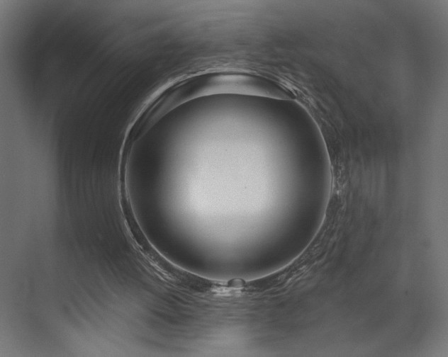 X0000072510052200607141142