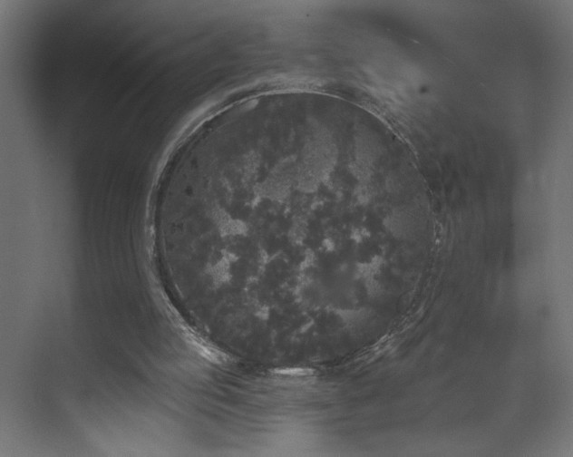 X0000072510053200607141142