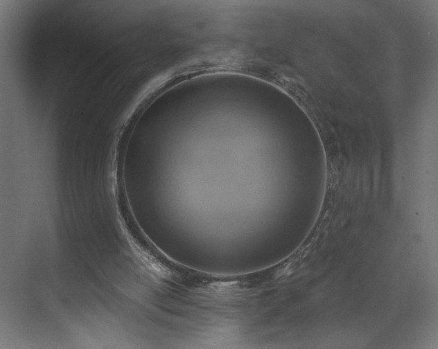 X0000072510054200607141142