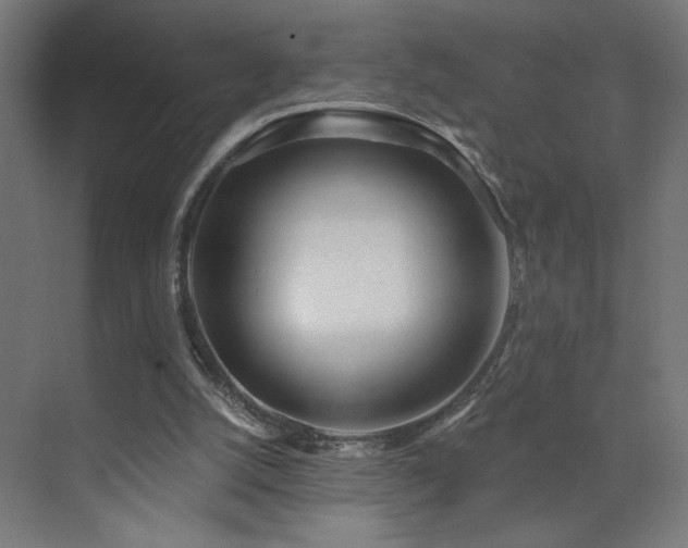 X0000072510056200607141142