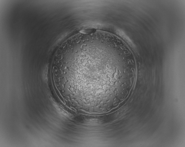 X0000072510058200607141142