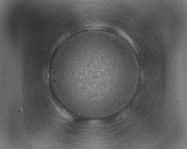 X0000072510059200607141142