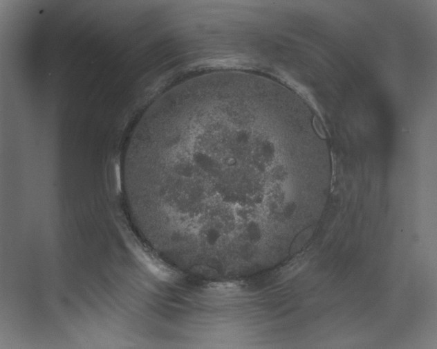 X0000072510061200607141143