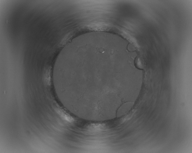 X0000072510065200607141143