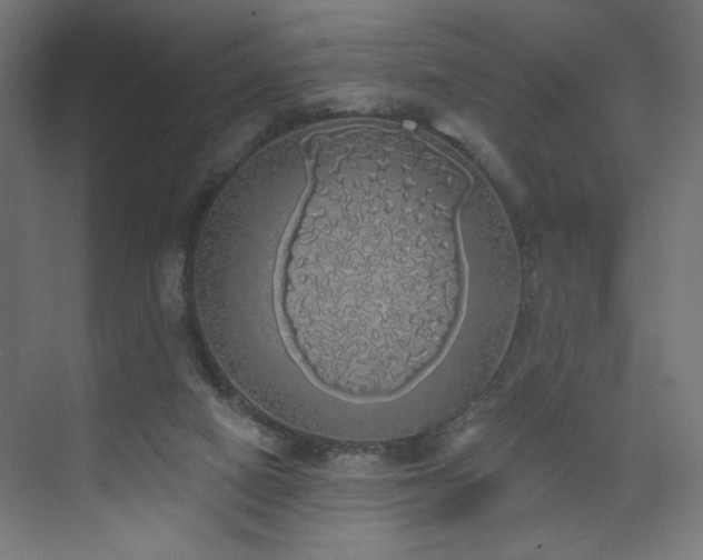 X0000072510066200607141143