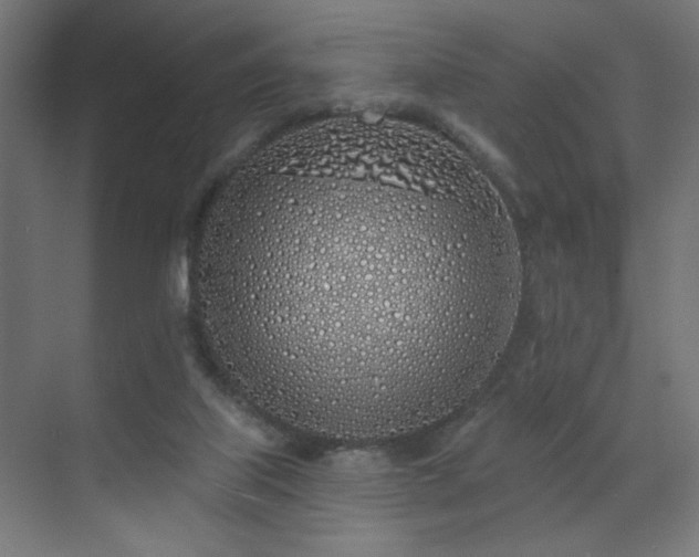 X0000072510067200607141143