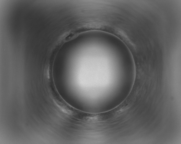 X0000072510068200607141143